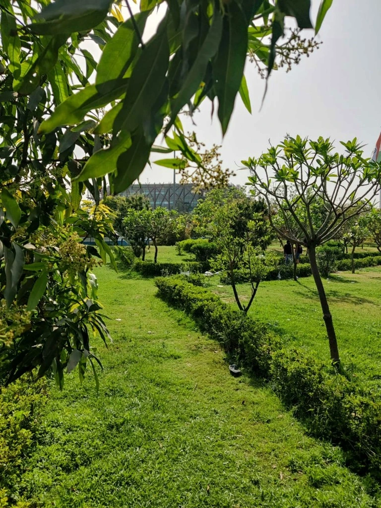 A green field with trees and a garden path